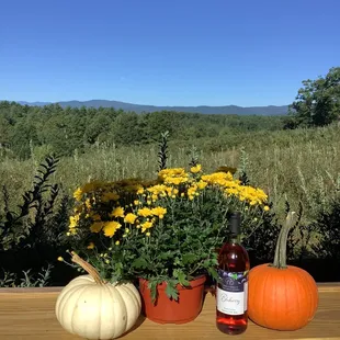 Blueberry wine made with our blueberries.
