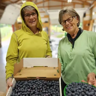 Blueberry season, Late June-Mid Aug