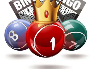 It’s All About Bingo