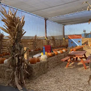 hay bales and pumpkins