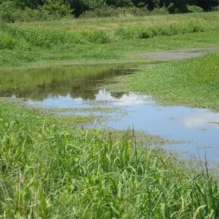 Perry State Park