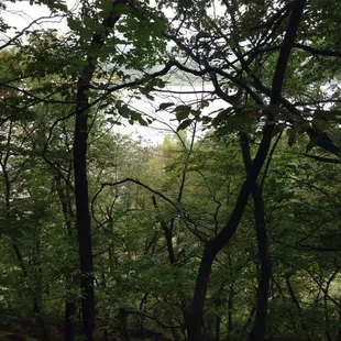Old Military Trail, Perry Lake hiking