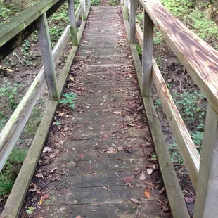 Foot bridge, Old Military Trail, Perry Lake hiking
