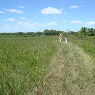 Delaware Marsh Trail