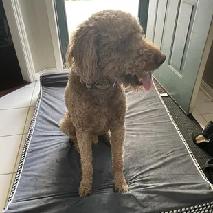 v cxxxxsssssssssswdxcxxxedc   bb w  Kids 2 Piece of French Toast with Meatcd