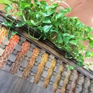 a close up of a table with a plant on top of it