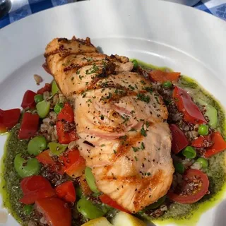 Grilled Salmon