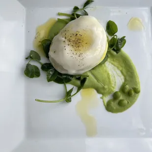 Burrata