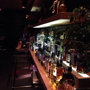 bottles of alcohol lined up on the bar