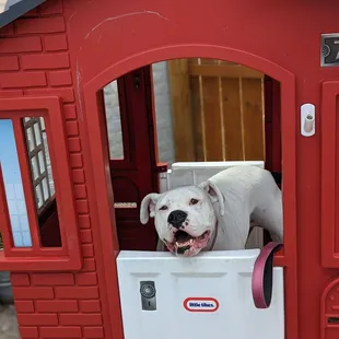 Even Frankie appreciates Perspective.