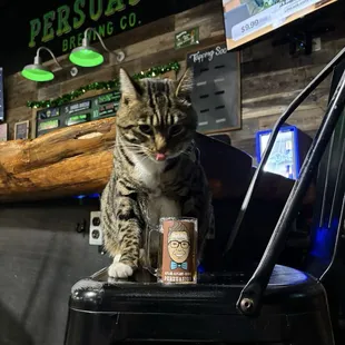 Ryder at Persuasion release of Stark Plug Beer