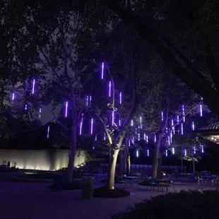 Crystal City Water Park at night in front of The Stand