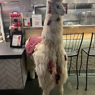 Decor