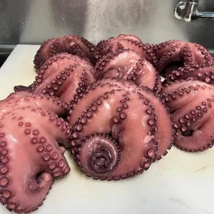 a pile of octopus tentacles