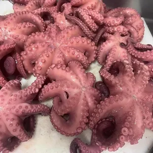 a pile of octopus tentacles