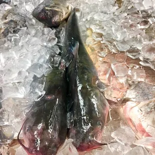 Fresh Catfish sold by pound, price depending on weight and if it's just cleaned or fried.