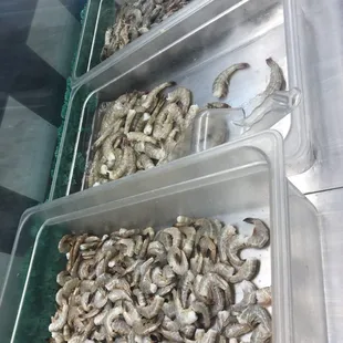 From small to jumbo shrimp by pound or box.