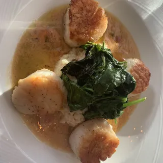 Scallops