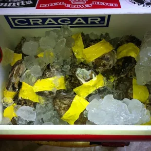 Pescadia Eastern