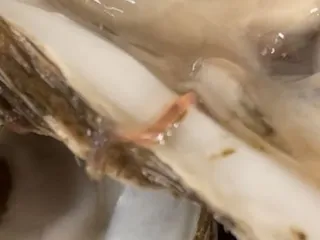 Bahia Fish Market