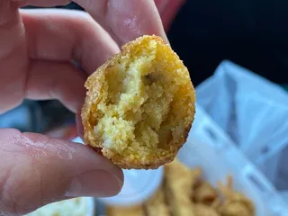 Fish Land
