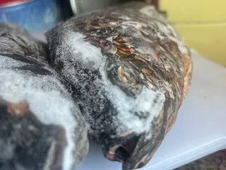 Pescaderia 