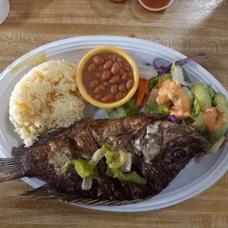 Shrimp Al Mojo de Ajo Plate