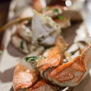 Dungeness Crab