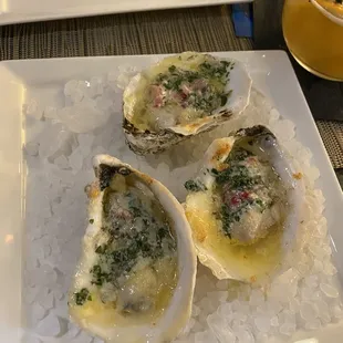 Oysters.