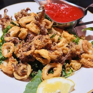 Fried Calamari