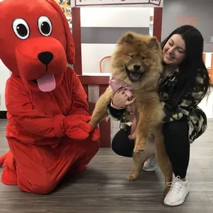 Does your pet need nutritional advice consultations? Pet Central Station provides access to organic, premium, and raw diets, ...