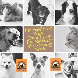 http://www.petfoodgonewild.com