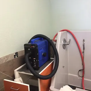 The store provides shampoo, conditioner, towels, brushes, ans a blow dryer!