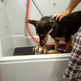 Thank you for being here for me in my first bath