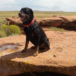 Rommel by the giant crater in az.