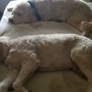 Spa days just wear us out but we do smell good.