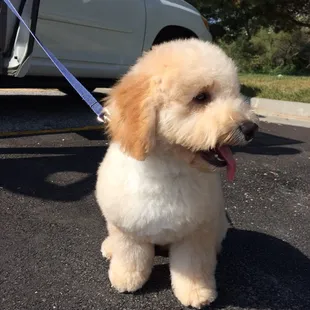 Perfectly rounded cut + fro :)