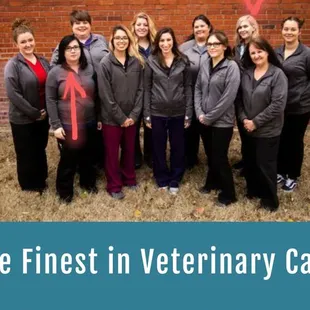 Veterinarians