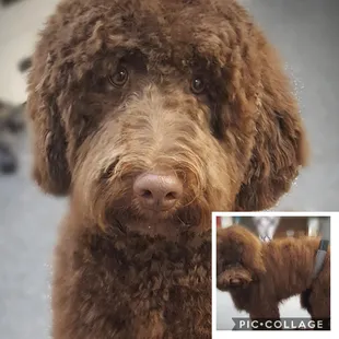 Groomed by: Victoria