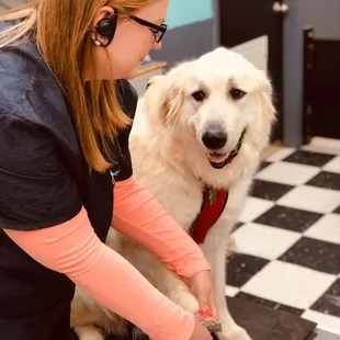 Haley doing a nail trim!