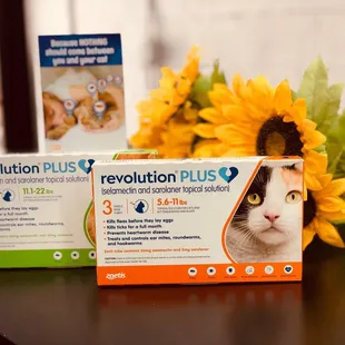 Revolution Plus for cats treats fleas, ticks, intestinal worms and heartworms!