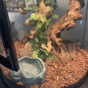 Pet World