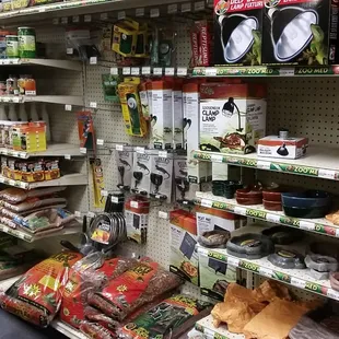 Reptile supplies