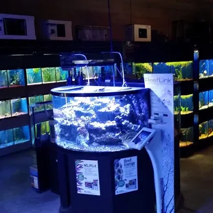 Fish room