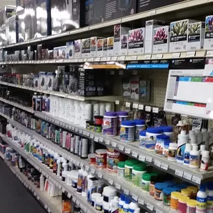 Tropical Fish Section