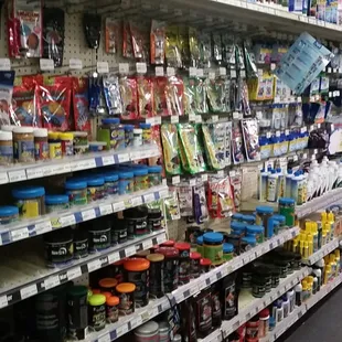 Tropical Fish Section