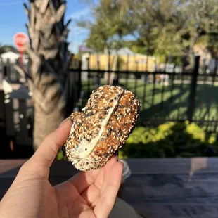 Everything bagel toasted with chive cream cheese