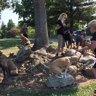 Place training at the park