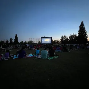 Puss and boots movie night at the park