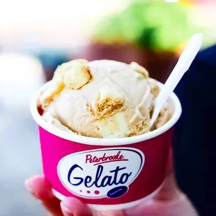 Pumpkin Spice gelato is here for the season!